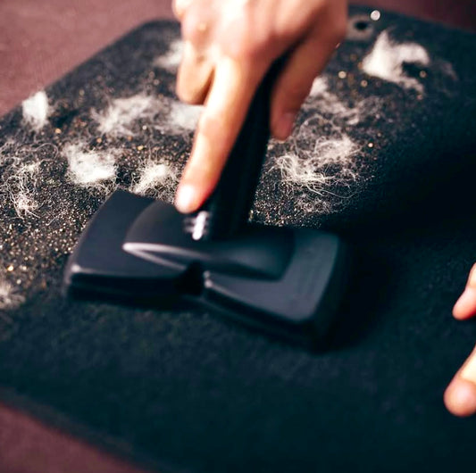 Pet hair remover tools for dog hair vacuum attachments