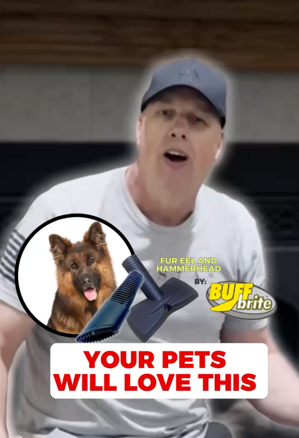 Best Way to Brush your Dog