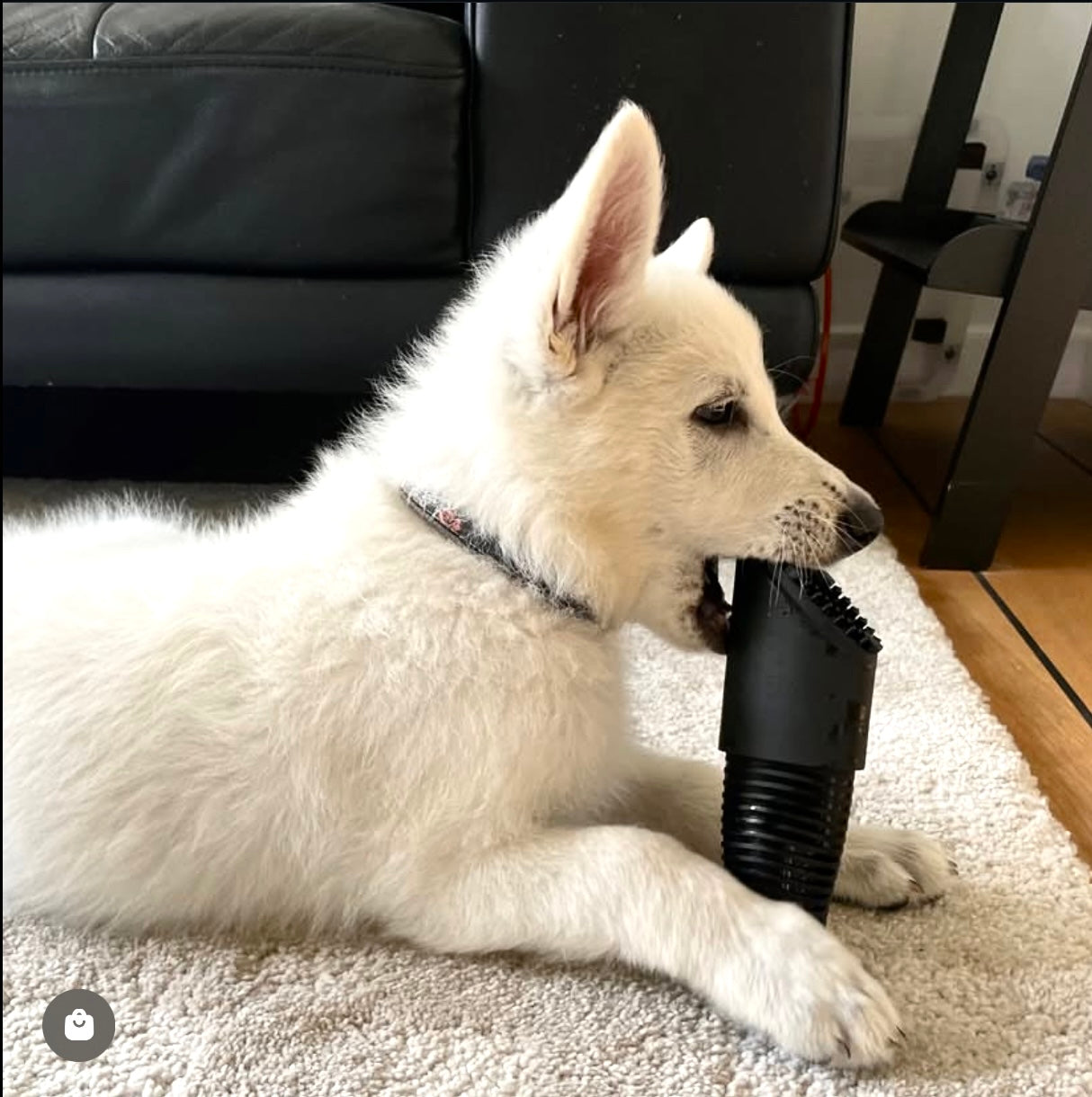 pet friendly fur eel buff brite products pet hair vacuum attachment