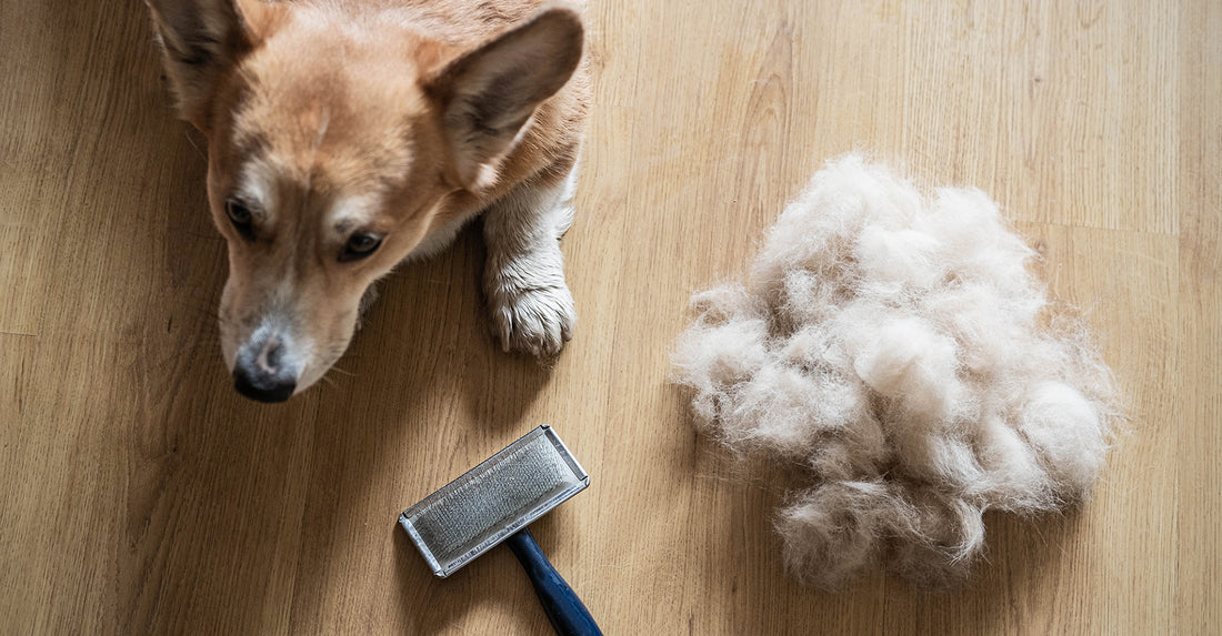 Why Fur-Eel Outperforms All Other Pet Hair Removers