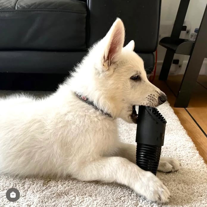 How Does the Fur Eel Vacuum Attachment Make Pet Grooming Easier?
