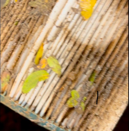 dirty shop vac filter without the filter guard