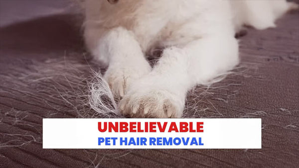 Unbelievable Pet Hair Removal
