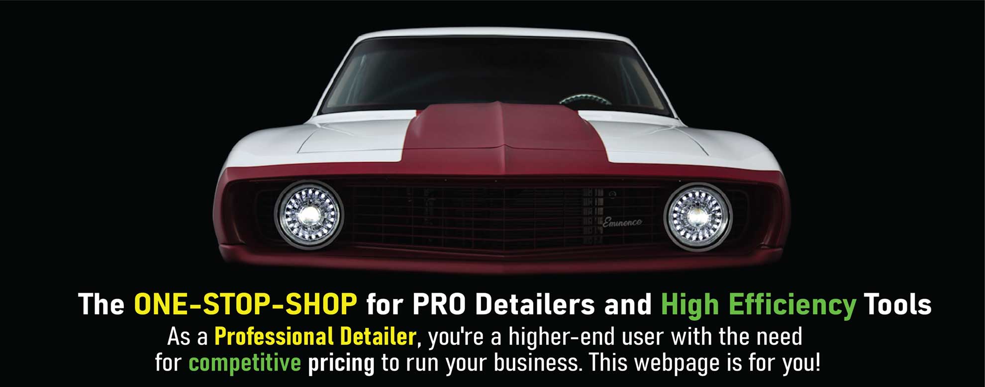 pro car detailing tools for pet hair removal and polishing lights
